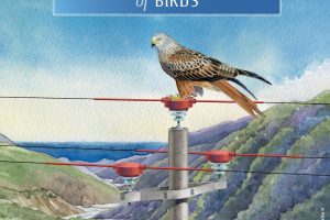 Brochure sur la connaissance et la prévention de l’électrocution des oiseaux.