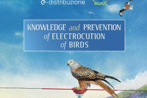 Brochure on “Knowledge and Prevention of Electrocution of Avifauna”