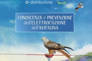 Brochure sulla “Conoscenza e prevenzione dell’elettrocuzione dell’avifauna”