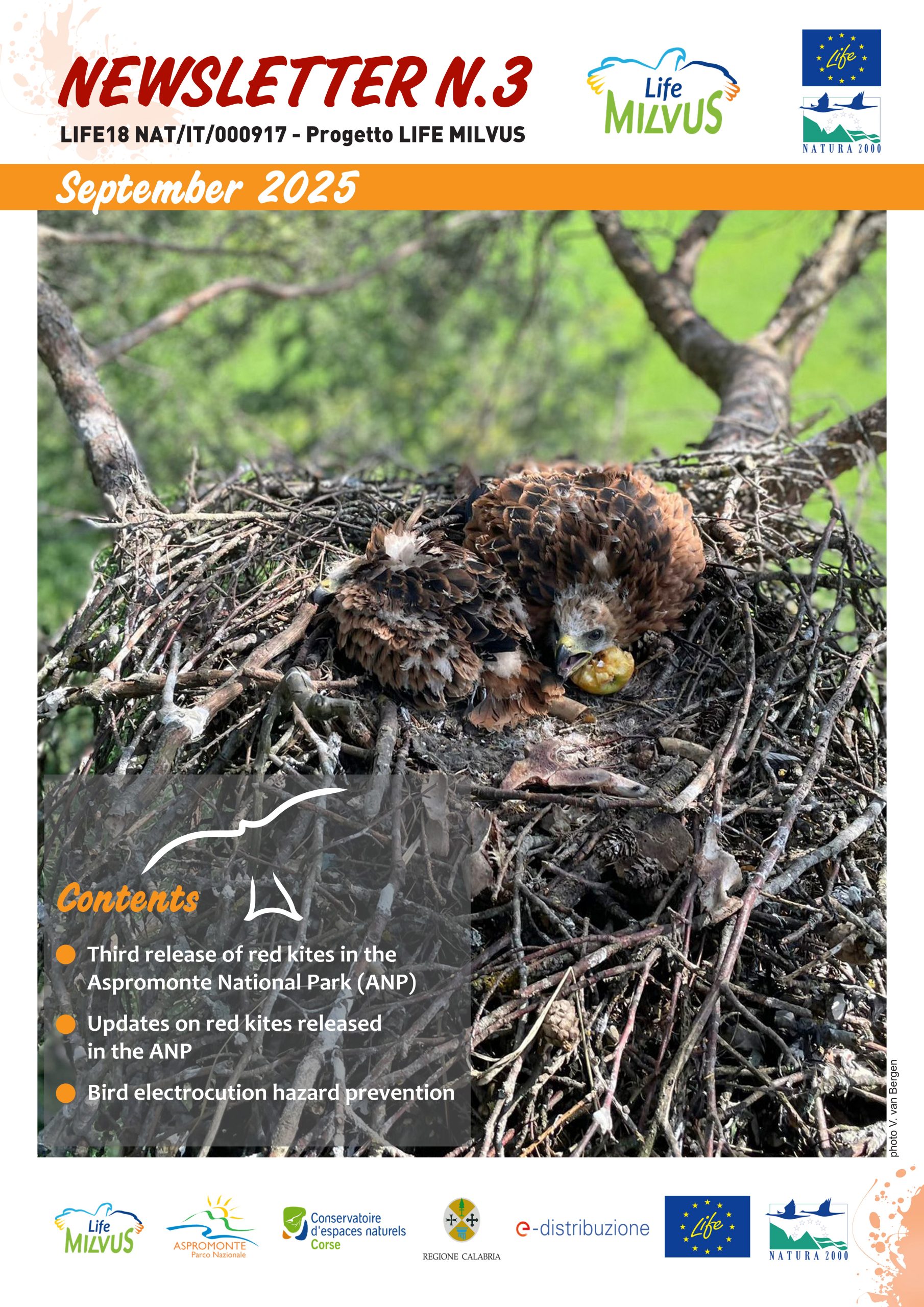 Copertina Newsletter 3 EN