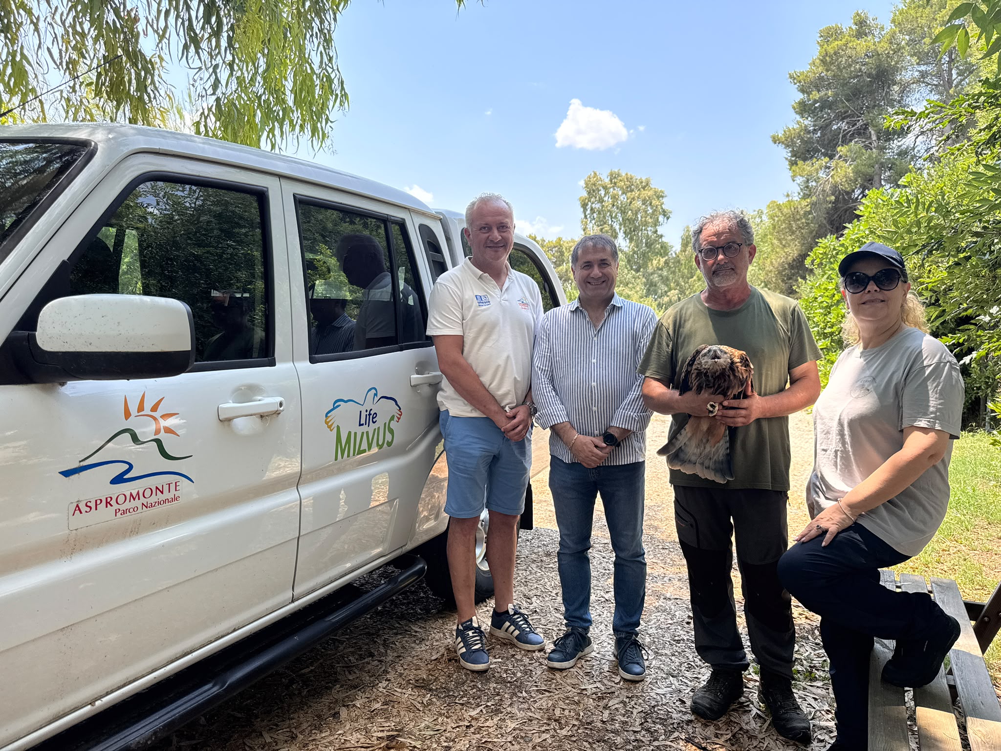 Il nibbio reale consegnato al referente del LIFE MILVUS dal Presidente del Parco della Murgia Materana e dagli operatori del CRAS S. Giuliano